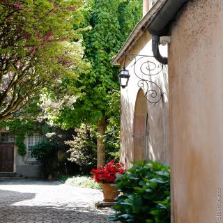 La Cour Berbisey - Teritoria - Dijon - 6