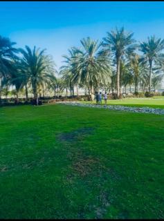 Emirates apartment - Dubai - 8