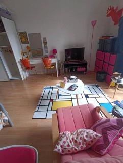 Grande chambre chez l'habitant dans hypercentre piéton - 5