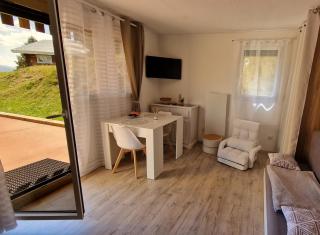 Studio 2 pers, rez-de-chaussée, grande terrasse plein sud - Font-Romeu-Odeillo-Via - 9