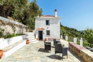 The Mountain Majesty - 9