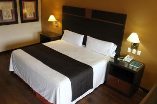 Hotel Plaza las Quintas - Hermosillo - 7