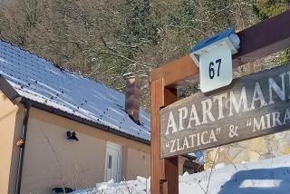 Apartments with a parking space Kalnik, Podravina - 22913 - Križevci - 8