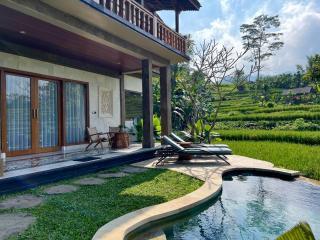 Abian Ayu Villa - Sidemen - 8