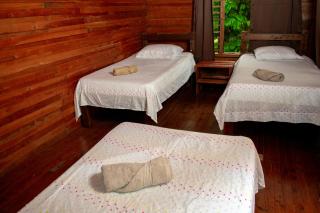 Cabaña Ave Del Paraiso - Cartago - 5