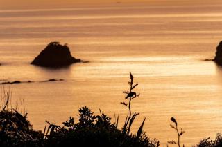 Cathedral cove and Sunrise - Hahei - 2