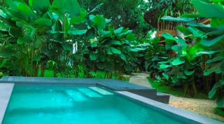 Alina Farm Resort - Manolo Fortich - 5