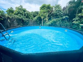 Tropical Nest - Faaa - 7