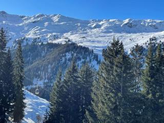 Superbe appartement skis aux pieds avec cheminée et parking à Méribel - FR-1-180-629 - Les Allues - 9