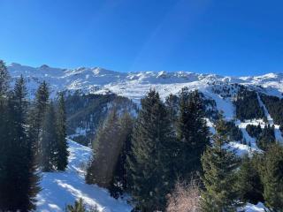 Superbe appartement skis aux pieds avec cheminée et parking à Méribel - FR-1-180-629 - Les Allues - 7