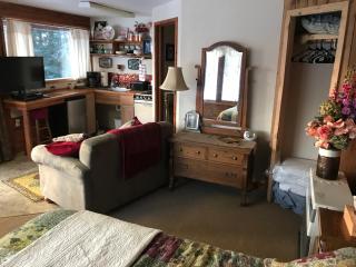 Moose twin cabin - Homer - 1