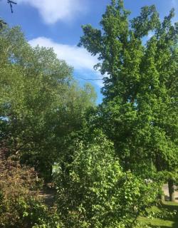 Cosy artist apartment - 1