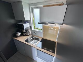 Feriendorf Seeblick - Tinyhouse direkt am See - Neunburg vorm Wald - 3