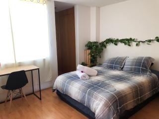 Private room in Roma Norte - Città del Messico - 5