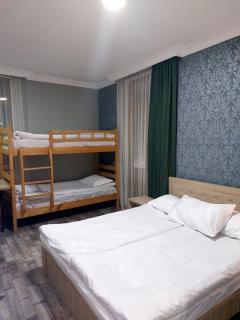 Guesthouse Zaqara - Borjomi - 6