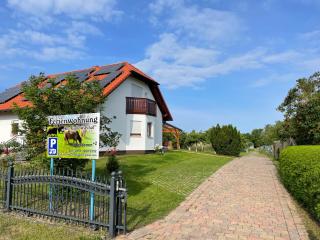 Am Gallowayhof - Seehausen - 8