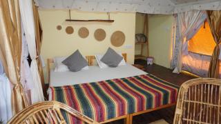 Craziy Cub Camp - Bir - 1