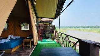Jungle Wildlife Camp - 3