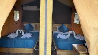 Jungle Wildlife Camp - 4