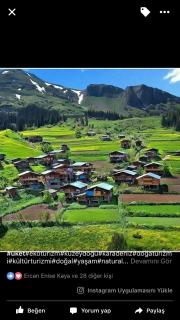 Hotel Green Valley Savsat - Savsat - 8