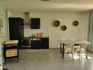 T2 Charme, intramuros, quartier des Teinturiers - Avignon - 7