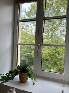 Green view studio - 7