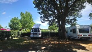 Camping L'Ocean - Brem-sur-Mer - 7