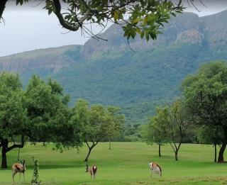 Magalies Park Golf Estate - Hartbeespoort - 4