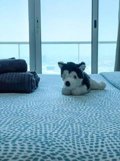 Unwind Above the Clouds, High Floor Gem near JBR, Dubai Marina & DMCC Metro - Dubái - 9