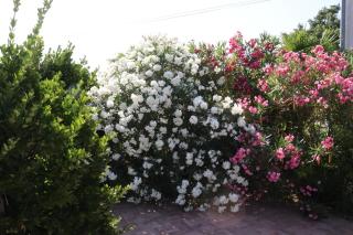 Appartamento Miracoloso - 6