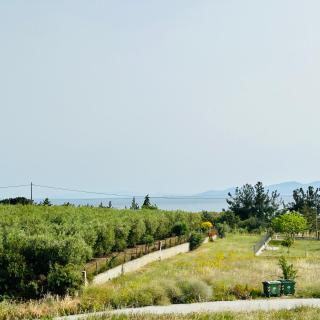 Sea View Apartment with Garden, Delta Hospitality - 8