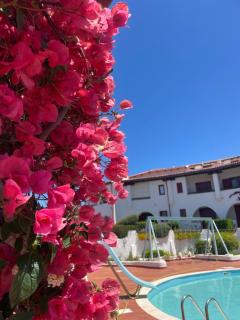 Casa Sandra - Cala Bitta - 4
