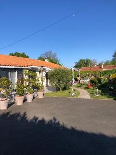 La Pépinière - Saint-Sulpice-et-Cameyrac - 7