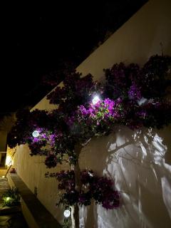 Loukoum House - Kastron - 6