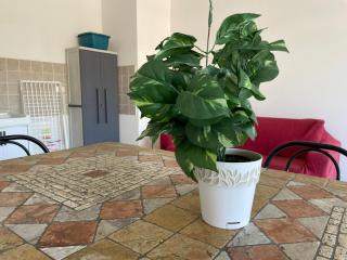RESIDENZE D'ANNUNZIO - Narramondo Villas - Tortoreto Lido - 3