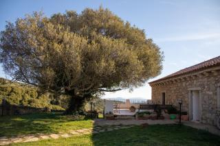 Cantina&Agriturismo Canu - Luogosanto - 3