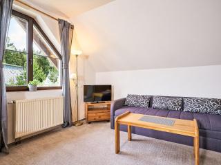 Apartment Alice II- by Interhome - Harrachov - 1
