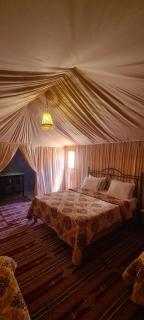 CAMP ABDELMOULA - Douz - 6