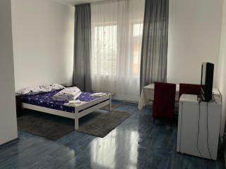 Studio Rentals - Onești - 3