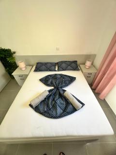 Vip Deluxe Apartment Arian - 1