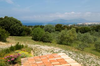 Caprifogli - 1
