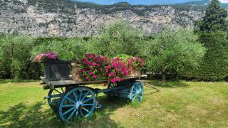 Agriturismo Vin e Amor - Dro - 6