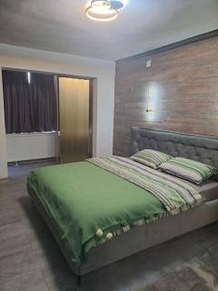 Safta Apartament 3 - Cîmpulung - 5