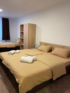 4 vodenice Brzeće B&B - Brzeće - 6