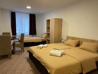 4 vodenice Brzeće B&B - 8