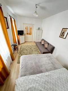 Ari Apartment - Brasov - 8