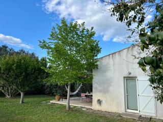 Flamingo - Lunel - 3