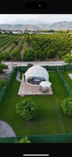 Greenglampingdome - Ortaca - 2