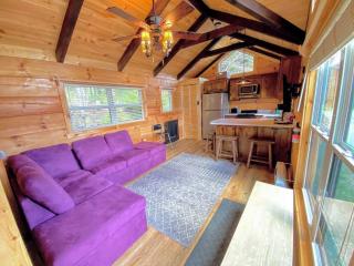 B10 NEW Awesome Tiny Home with AC Mountain Views Minutes to Skiing Hiking Attractions - Carroll - 7