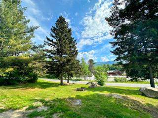 B10 NEW Awesome Tiny Home with AC Mountain Views Minutes to Skiing Hiking Attractions - Carroll - 5